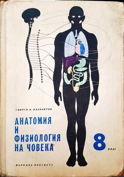 Анатомия и физология на човека 8 клас