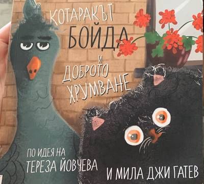 Котаракът Бойда и доброто хрумване
