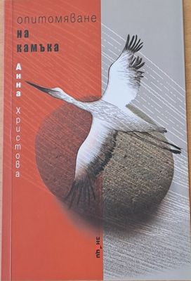 Опитомяване на камъка
