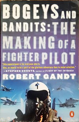 Bogeys and bandits: The making of a fighter pilot