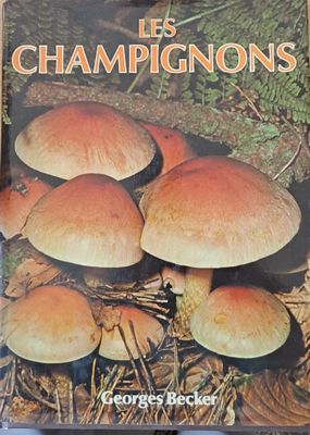 Les Champignons