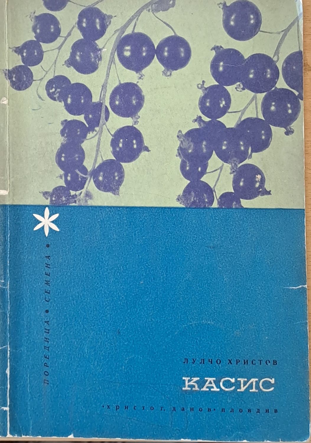 Касис