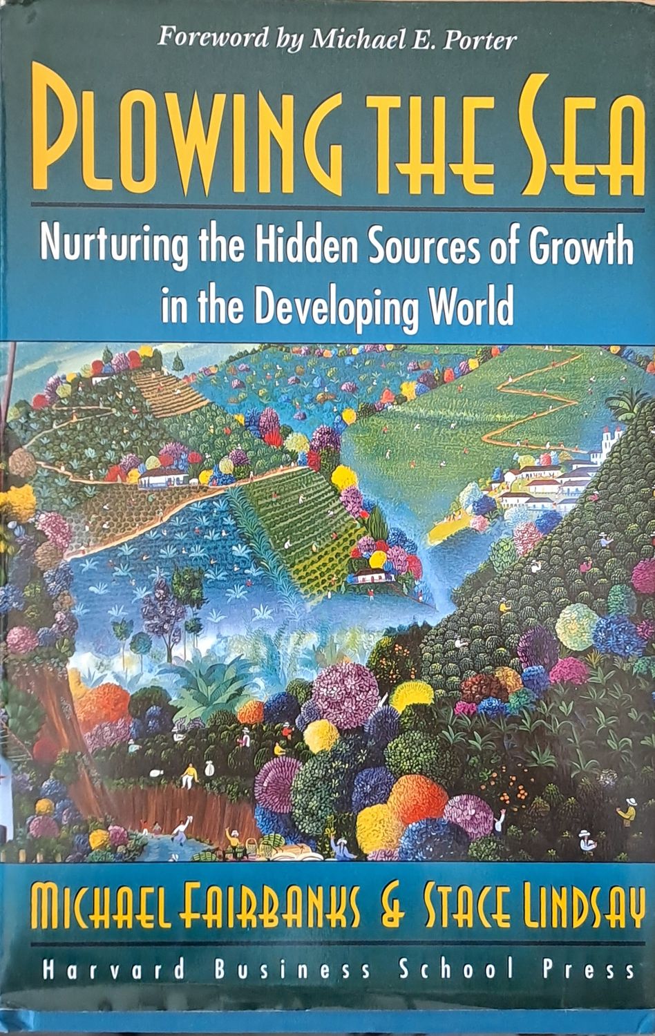 Plowing the Sea. Nurturing the Hidden Sources of Growth in the Developing World