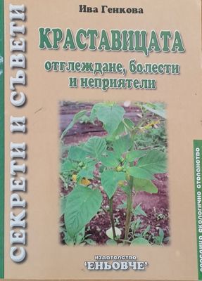 Краставицата - отглеждане, болести и неприятели