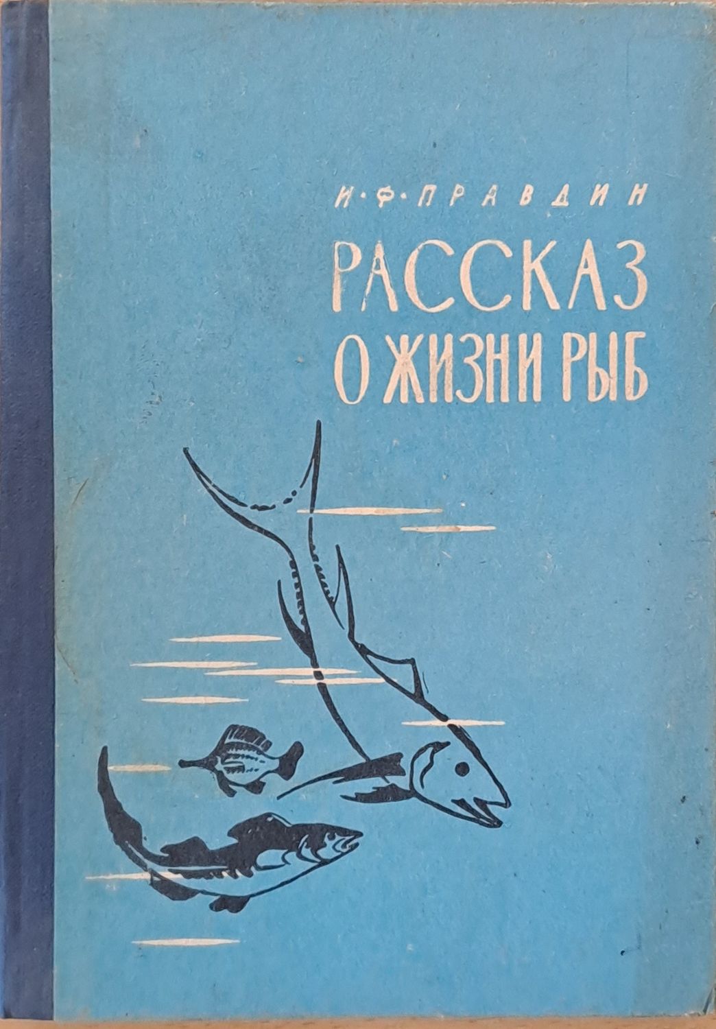 Рассказ о жизни рыб Рассказ о жизни рыб