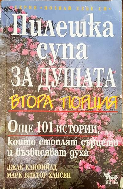 Пилешка супа за душата. Втора порция