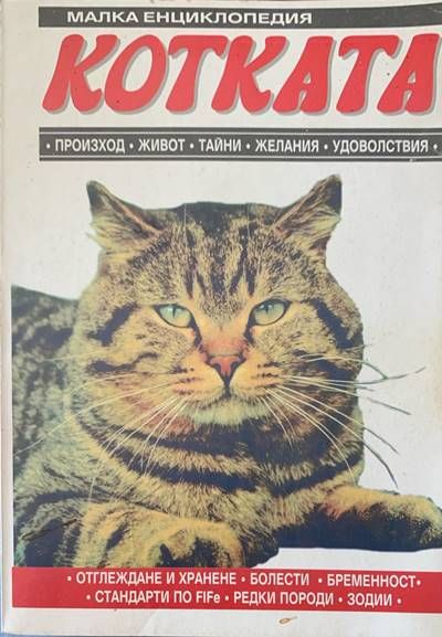 Малка енциклопедия. Котката