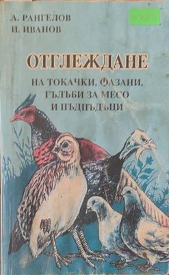 Отглеждане на токачки, фазани, гълъби за месо и пъдпъдъци