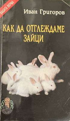 Как да отглеждаме зайци