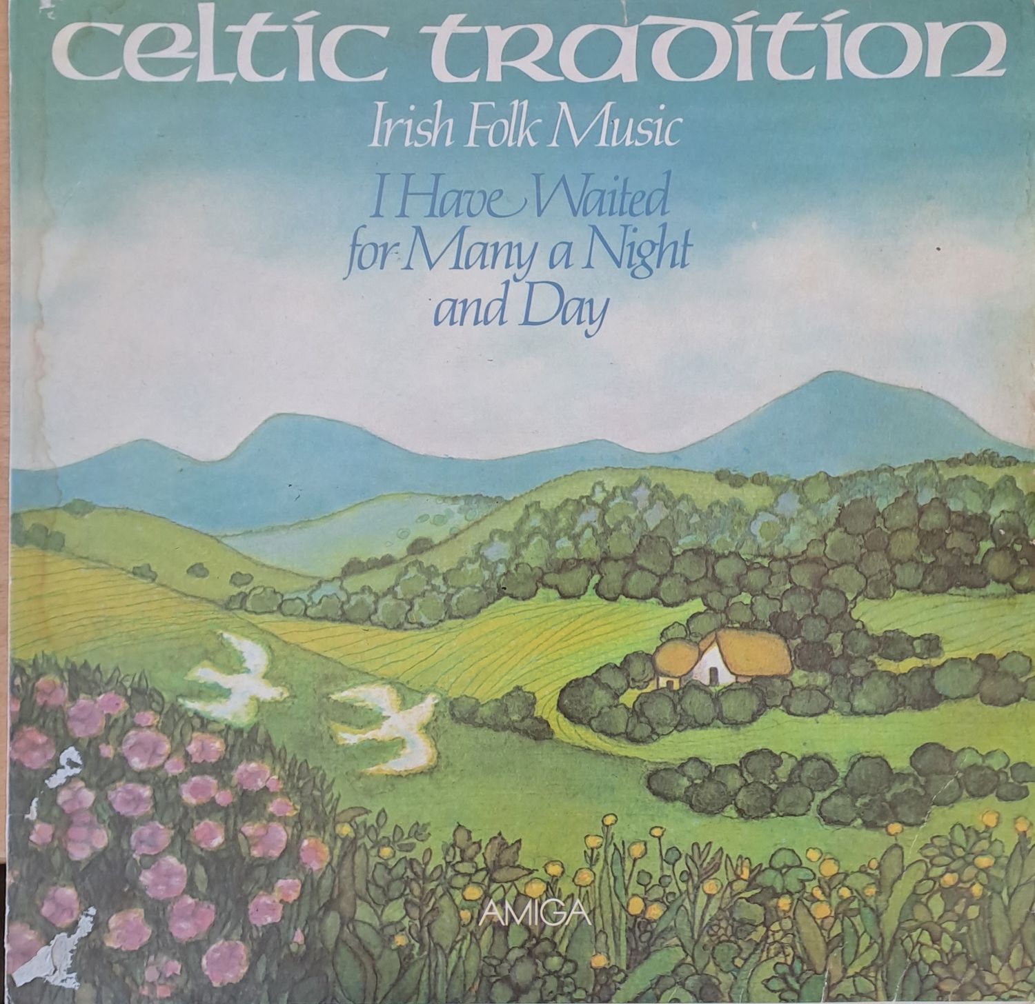Celtic Tradition. Irish Folk Music - I Have Waited for Many a Night and Day Celtic Tradition. Irish Folk Music - I Have Waited for Many a Night and Day