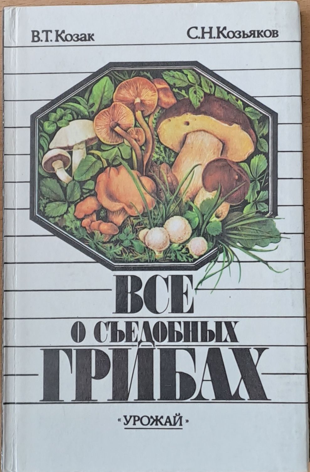 Все о съедобных грибах