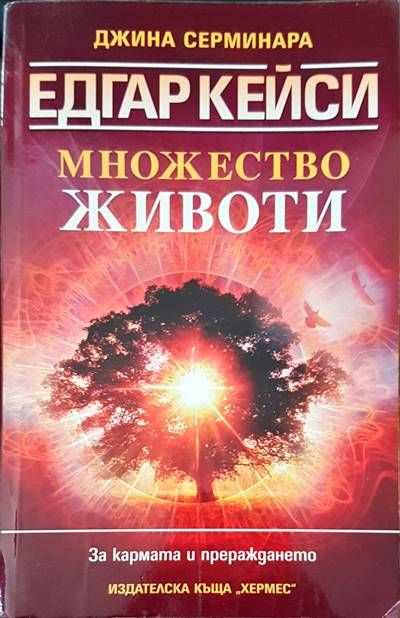 Едгар Кейси: Множество животи