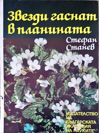 Звезди гаснат в планината