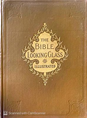 The Bible Looking Glass