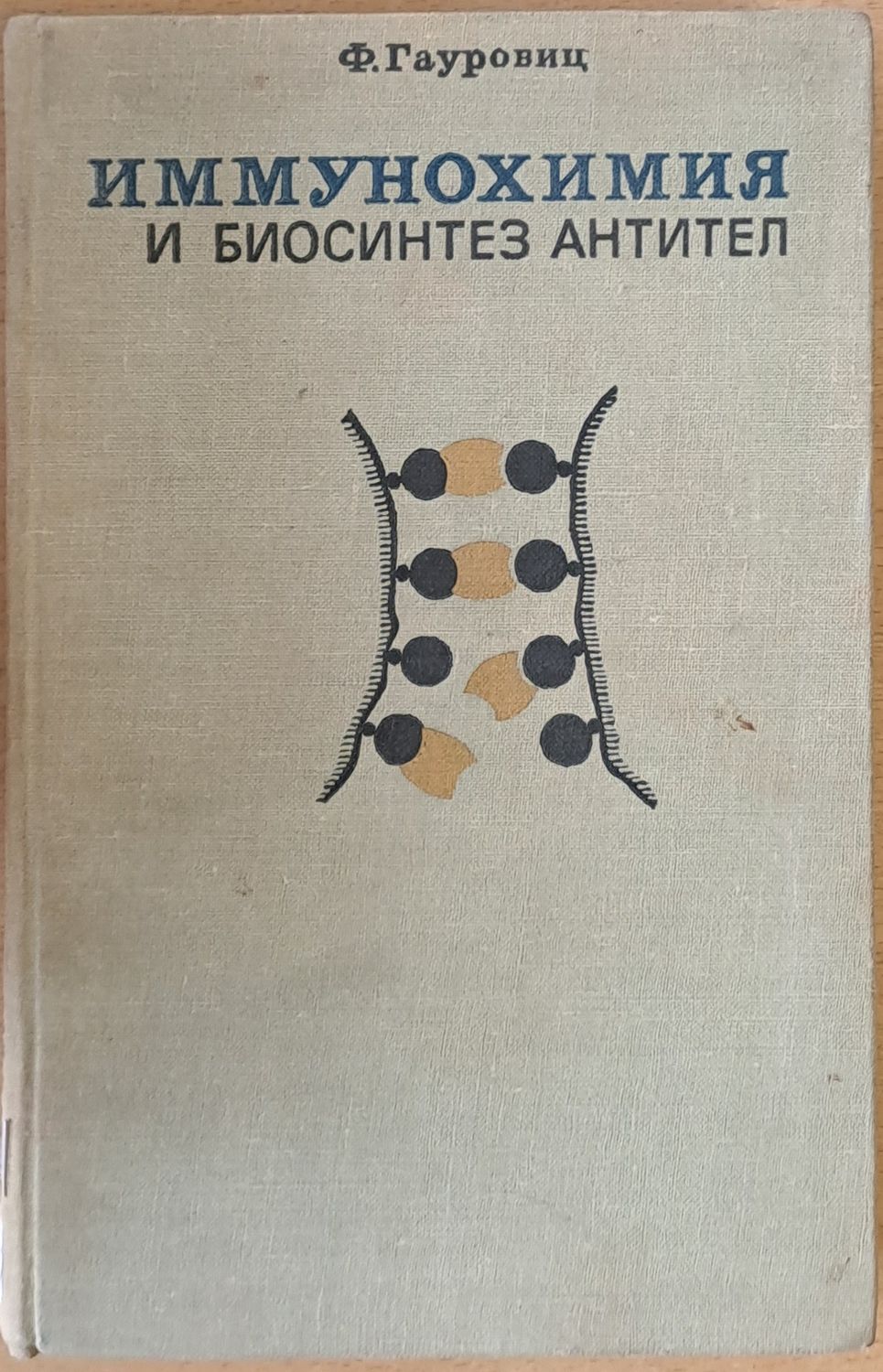 Иммунохимия и биосинтез Антител Иммунохимия и биосинтез Антител