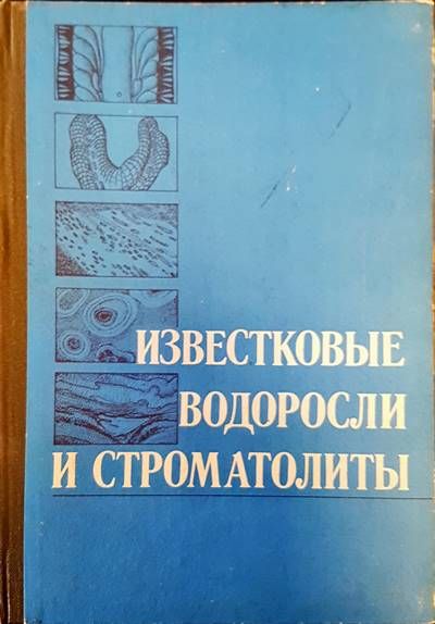 Известковые водоросли и строматолиты
