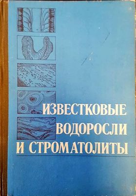 Известковые водоросли и строматолиты