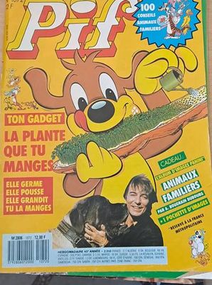 PIF - 1072