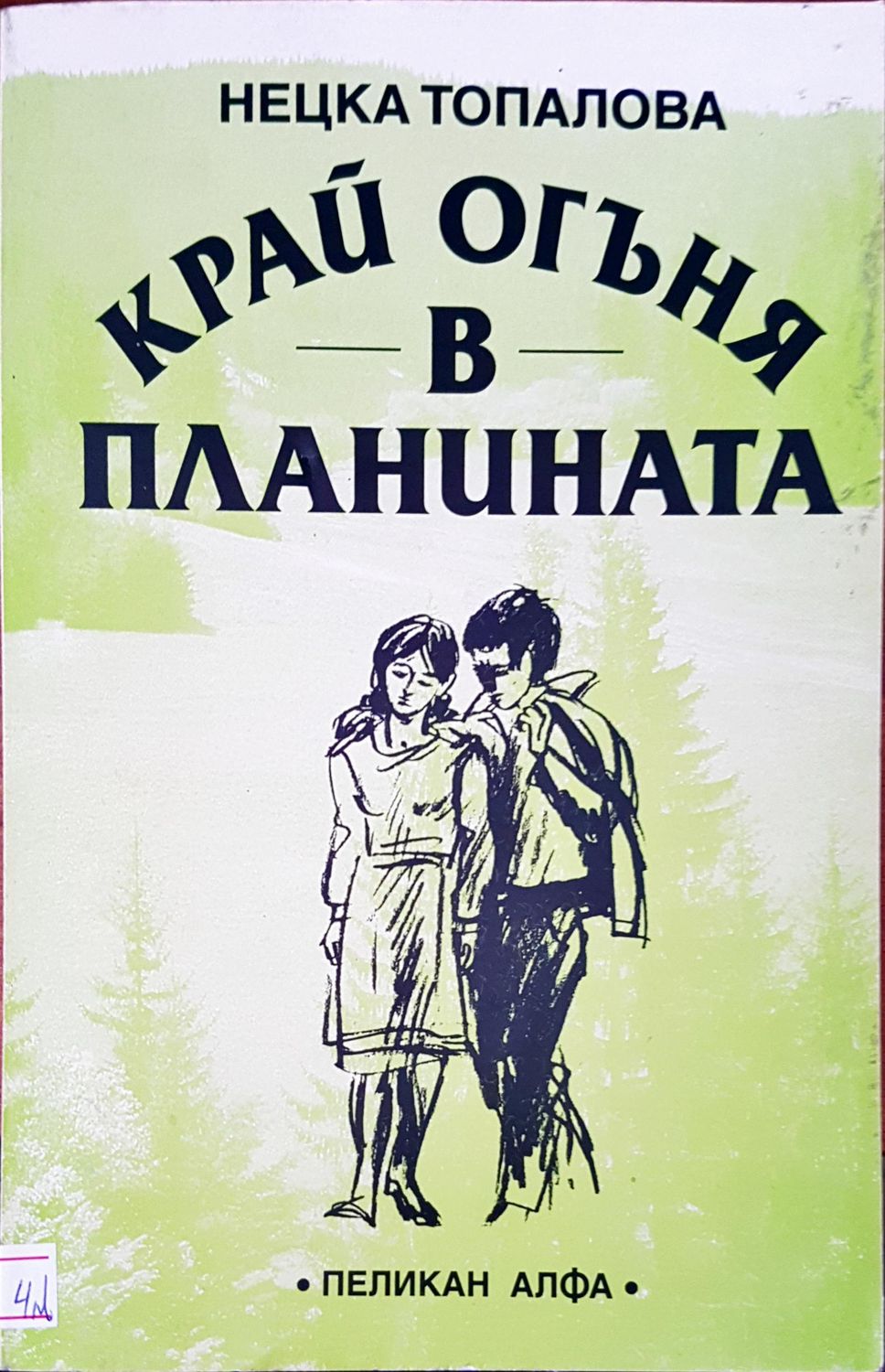 Край огъня в планината