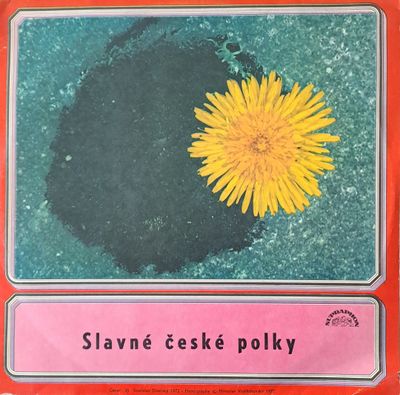 Slavne ceske polky Slavne ceske polky