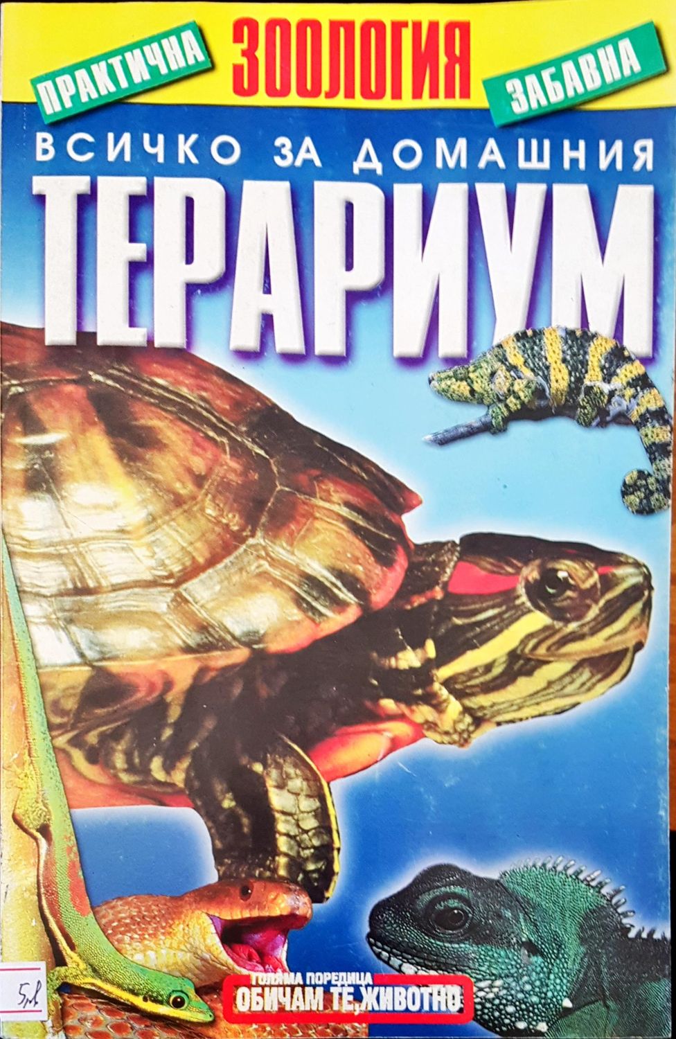 Всичко за домашния терариум
