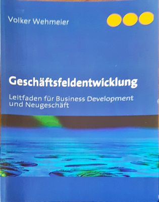 Geschaftsfeldentwicklung