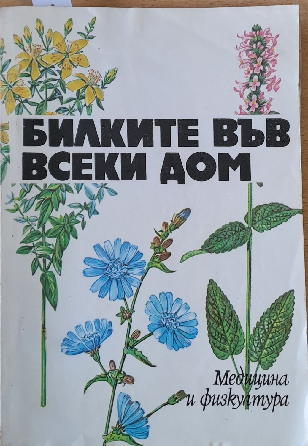 Билките във всеки дом
