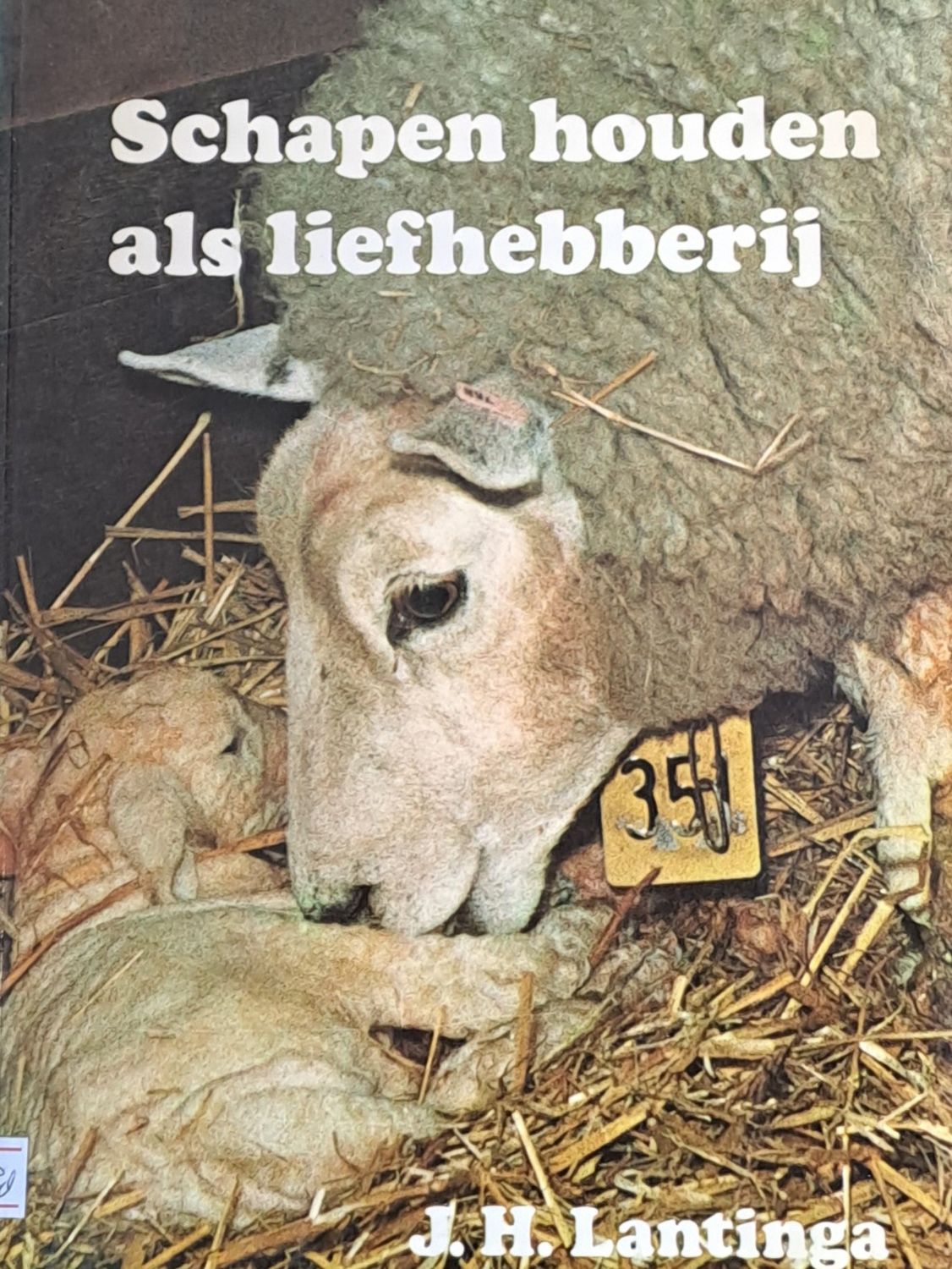 Schapen houden als liefhebberij