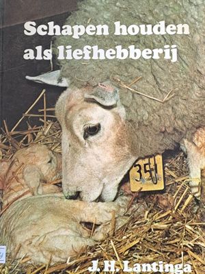 Schapen houden als liefhebberij
