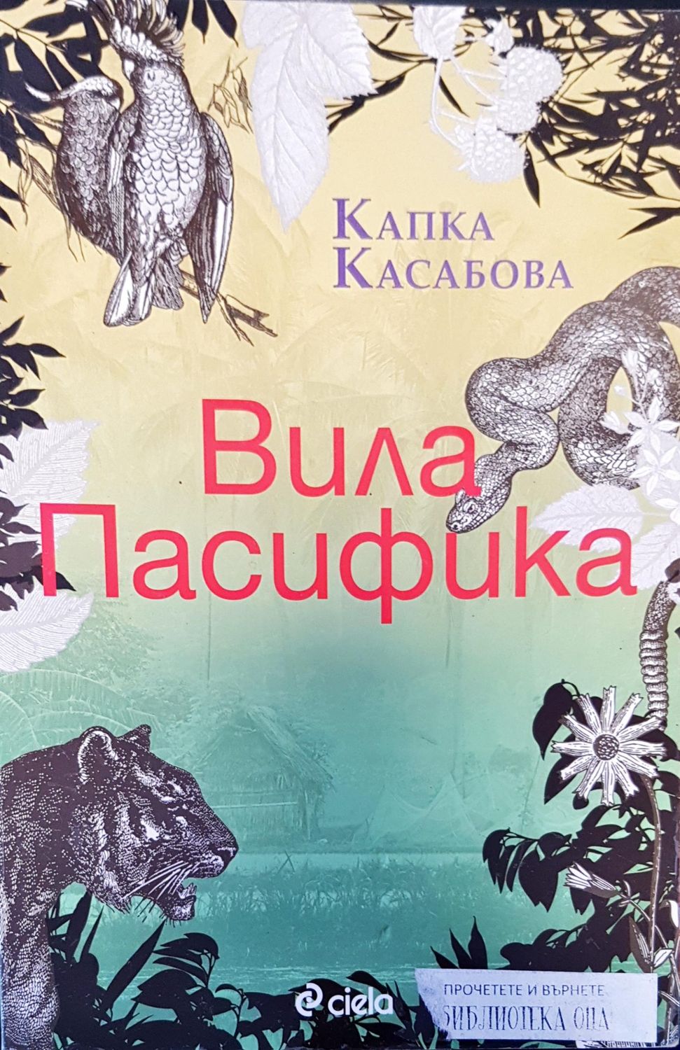 Вила пасифика