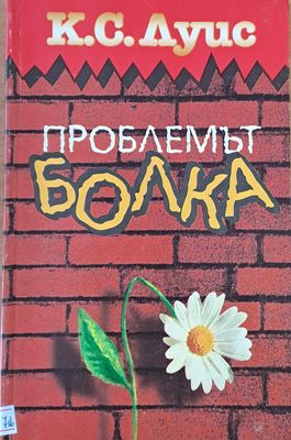 Проблемът болка