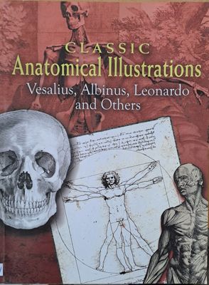 Classic Anatomical Illustrations