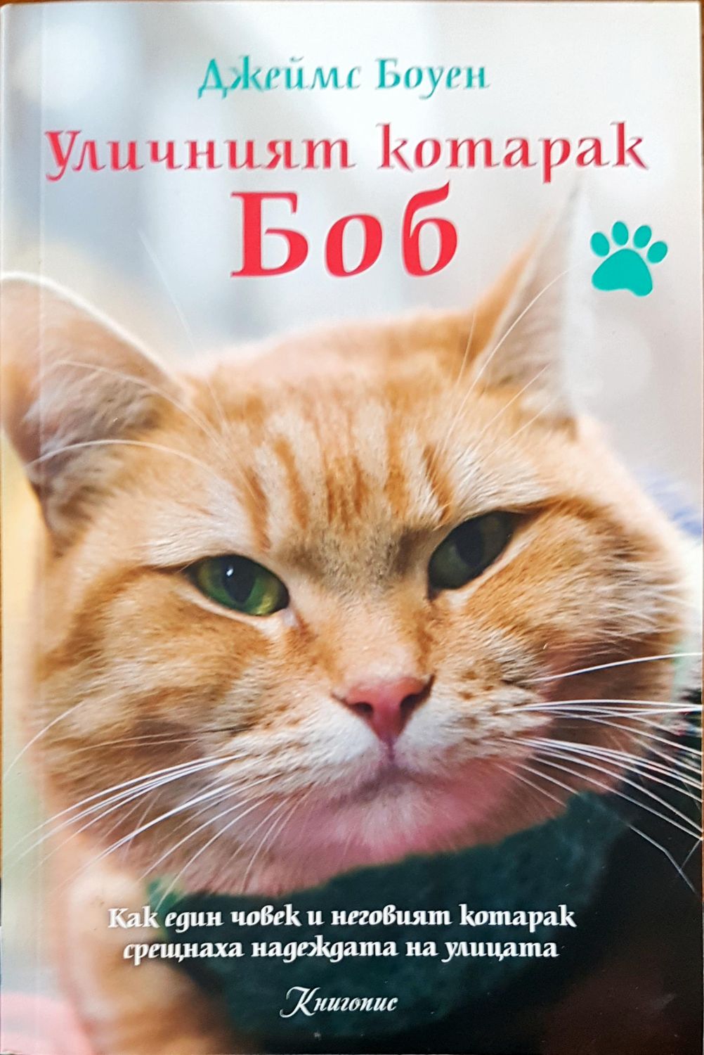 Уличният котарак Боб Уличният котарак Боб