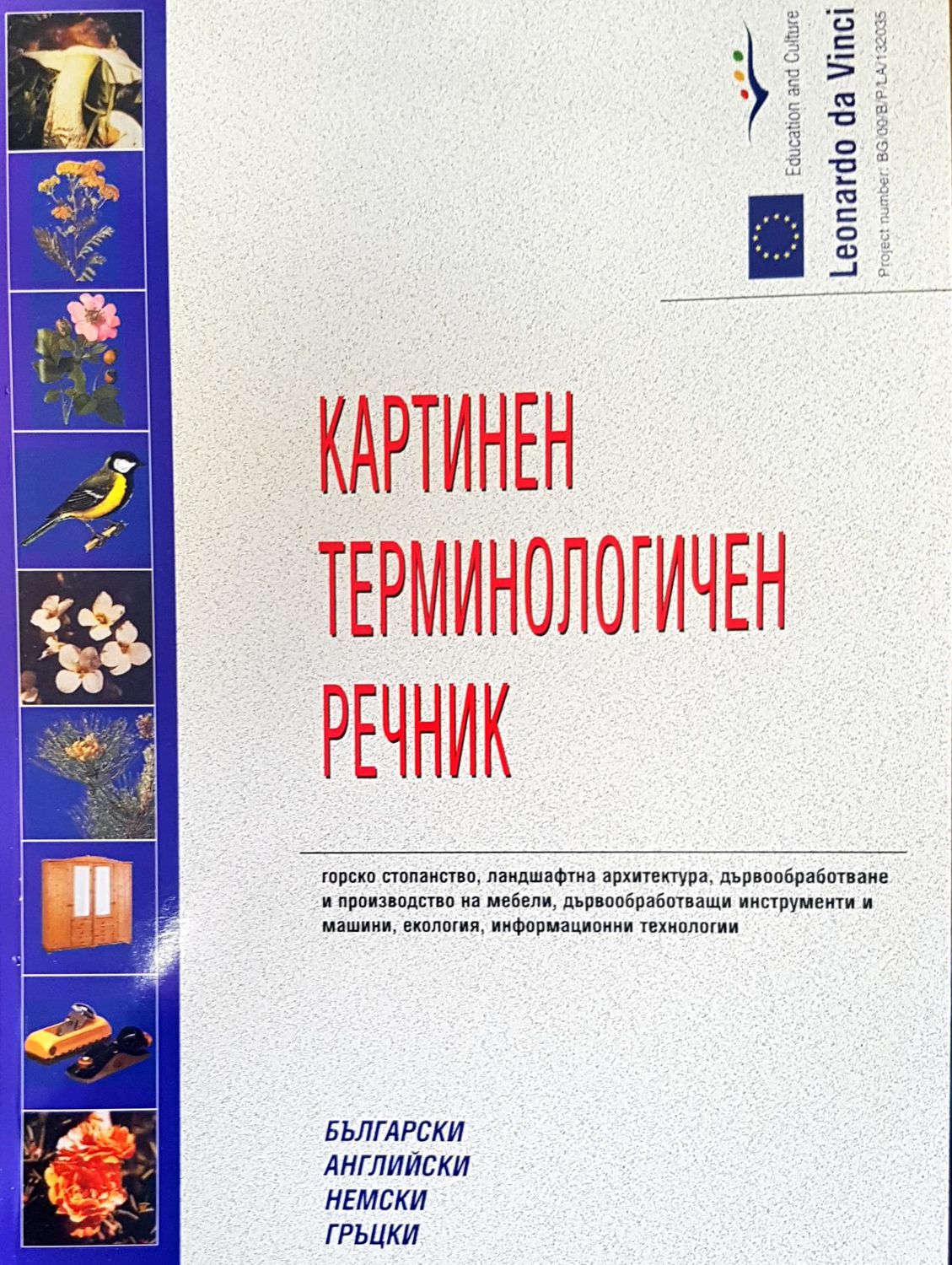 Картинен терминологичен речник