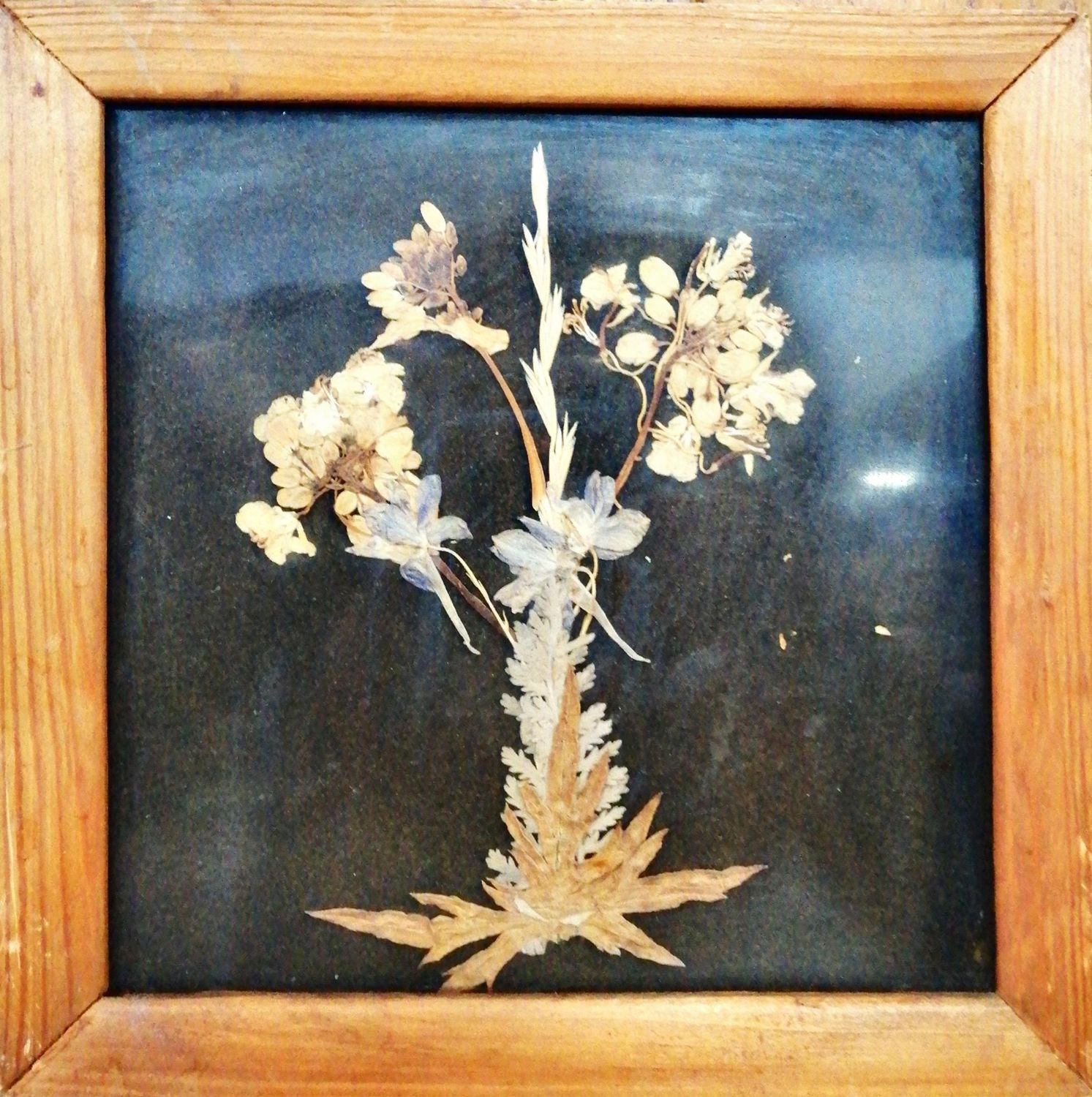 Картина върху картон с рамка, сушени цветя Картина върху картон с рамка, сушени цветя