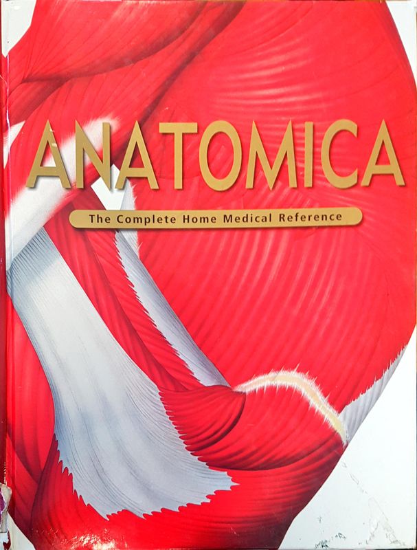 Anatomica