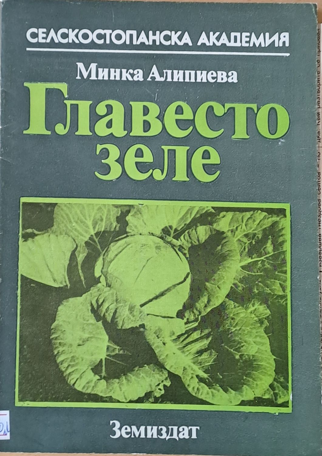Главесто зеле
