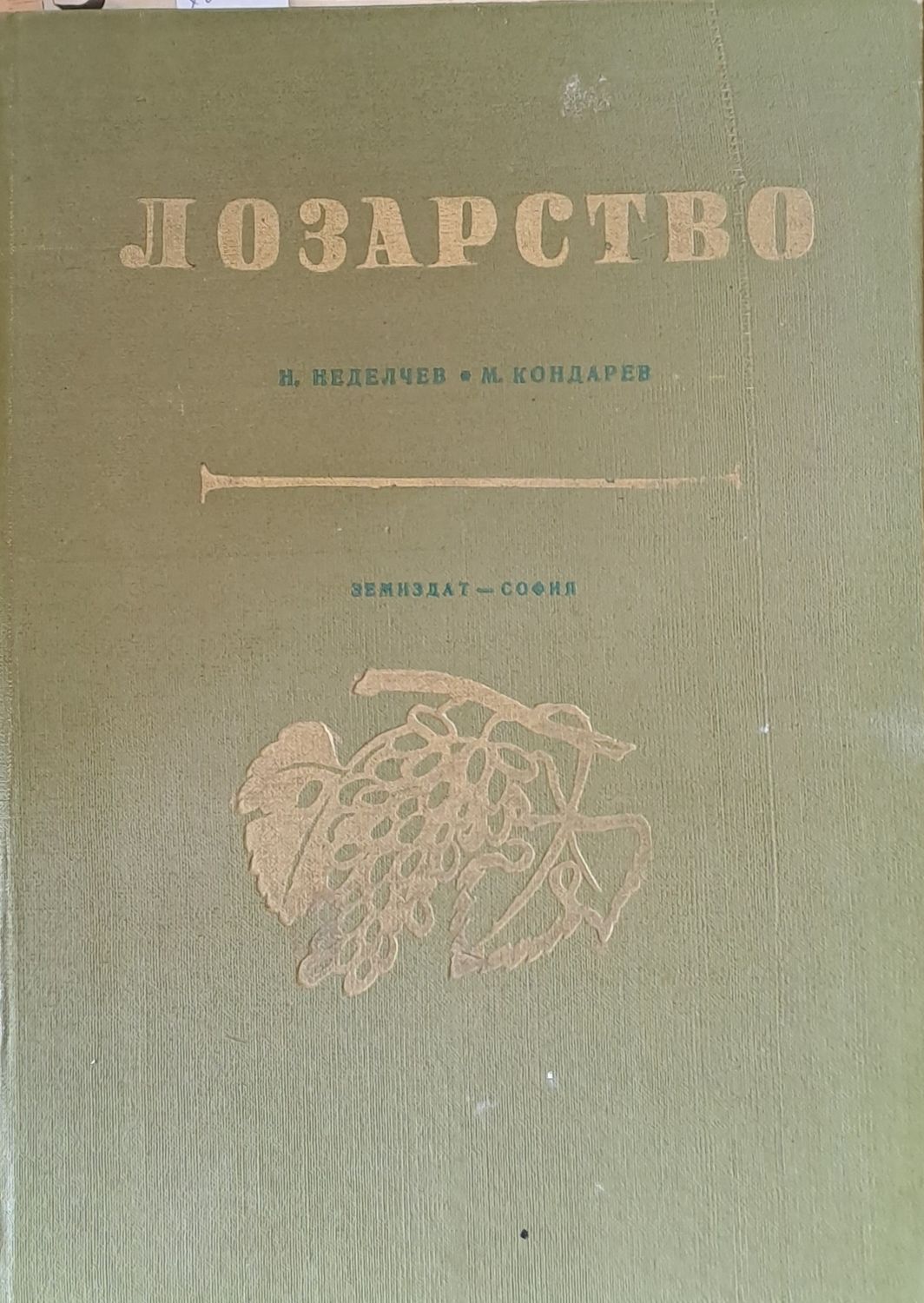 Лозарство