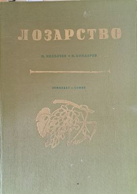 Лозарство