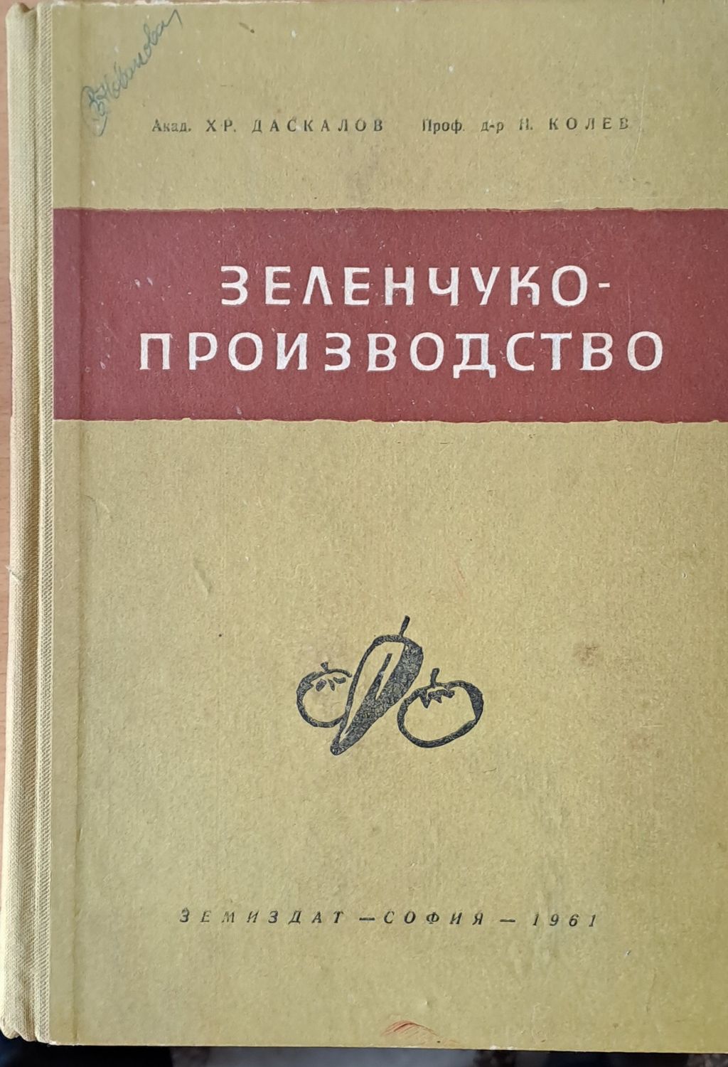 Зеленчукопроизводство