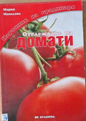 Наръчник на градинаря: Отглеждане на домати