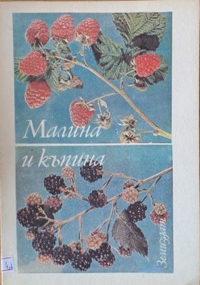 Малина и къпина
