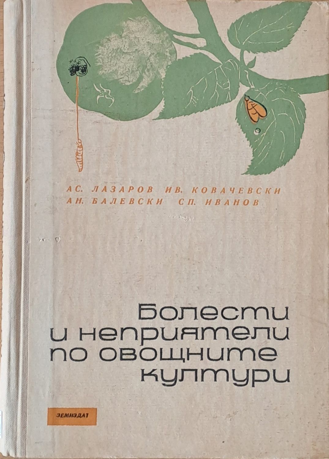 Болести и неприятели по овощните култури