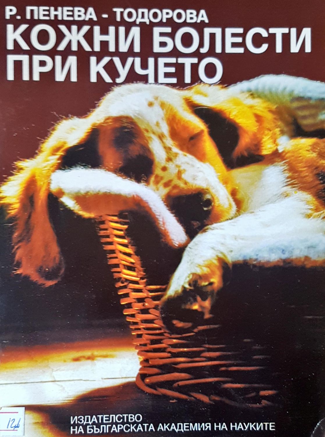 Кожни болести при кучето Кожни болести при кучето