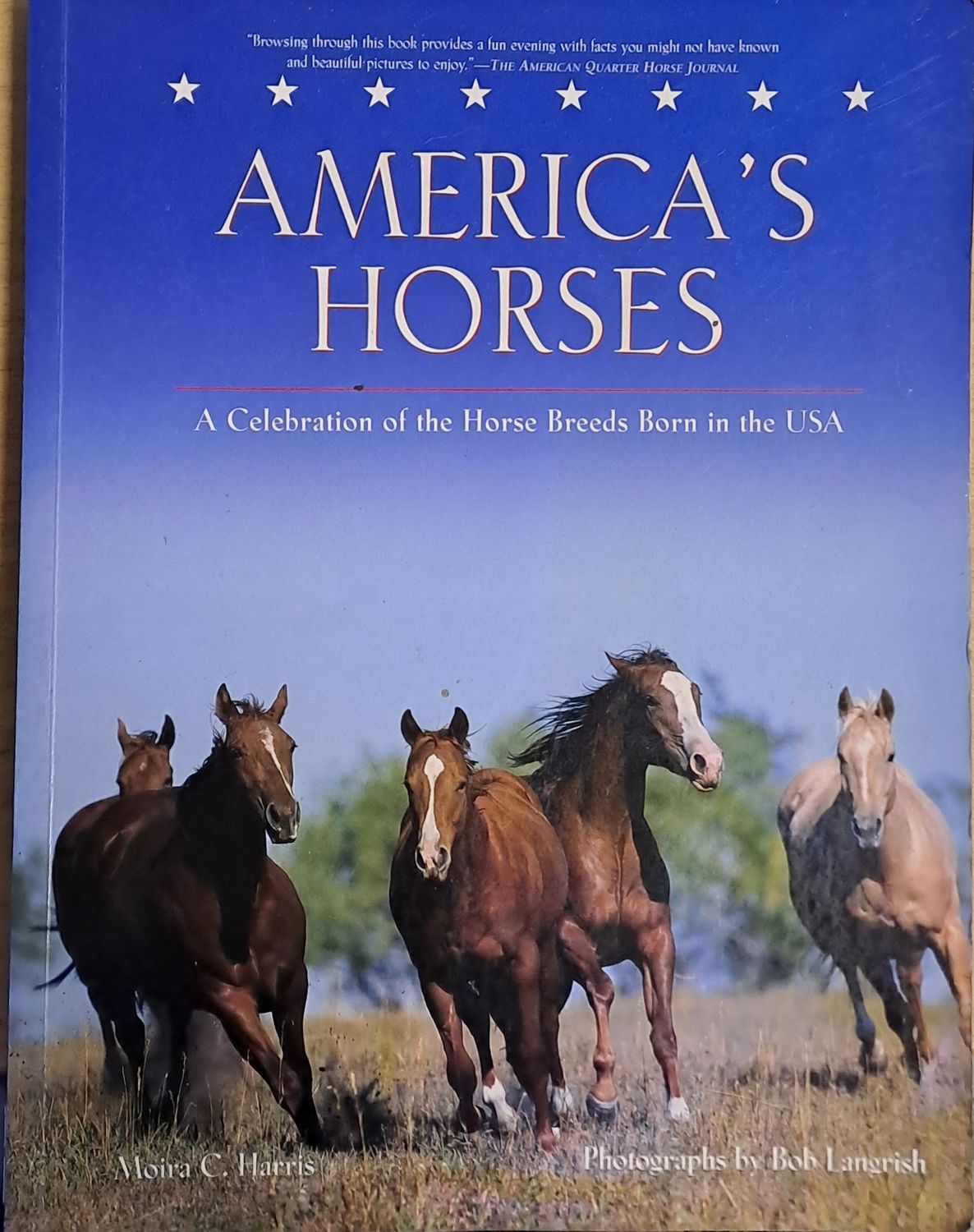 America&#39;s Horses