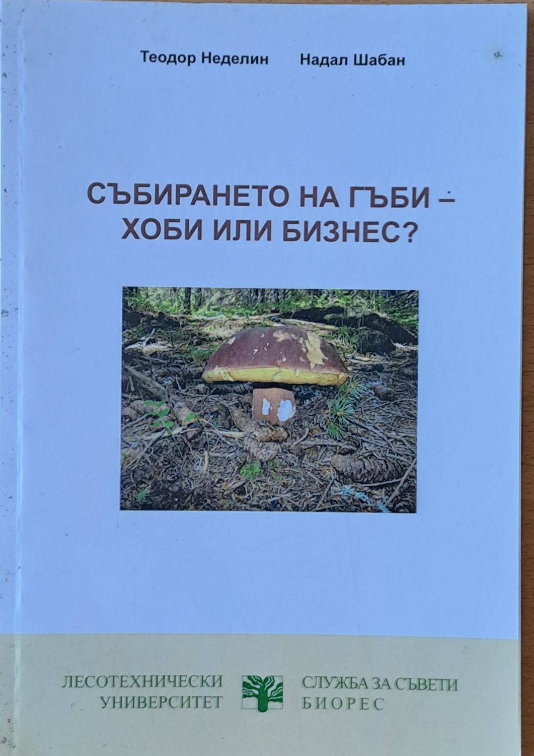 Събирането на гъби - хоби или бизнес?