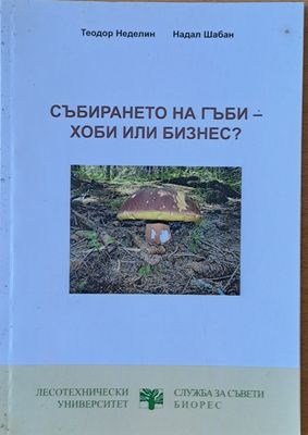 Събирането на гъби - хоби или бизнес?