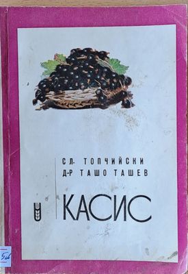 Касис