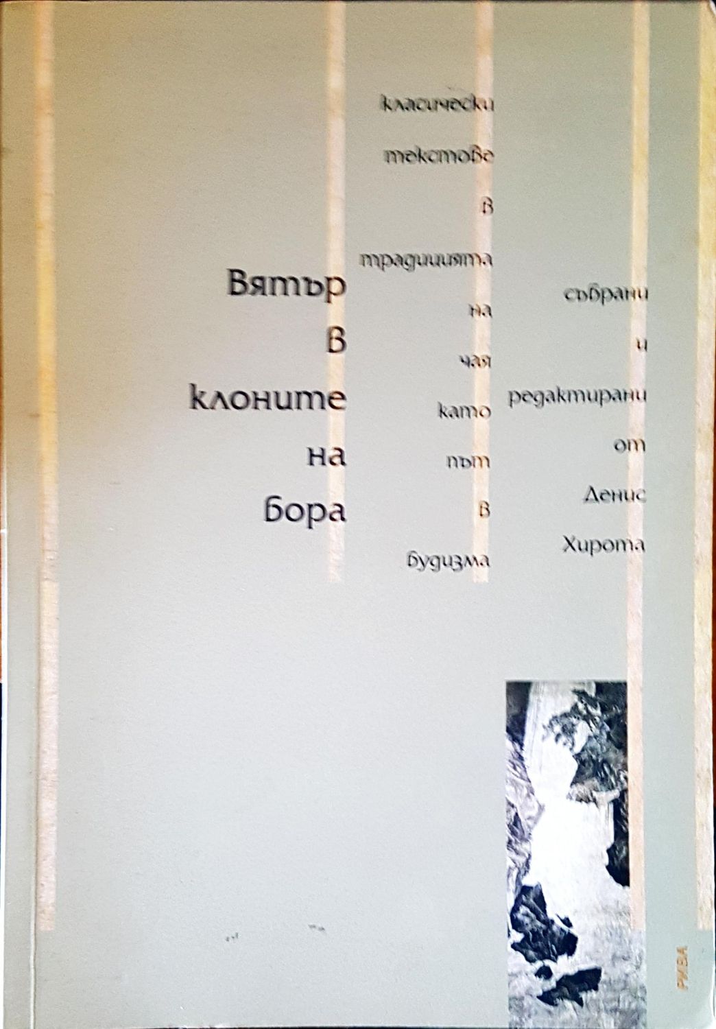 Вятър в клоните на бора