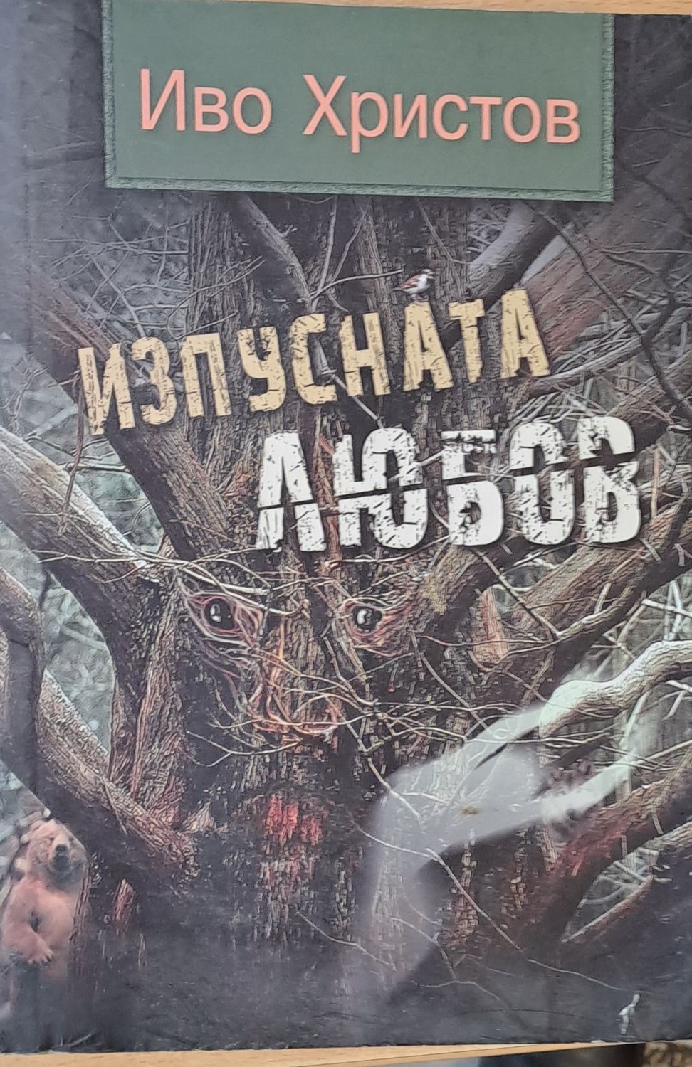 Изпусната любов Изпусната любов